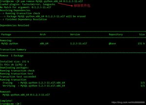 高效便捷 在Linux系統(tǒng)中使用Yum安裝軟件與服務(wù)的完整指南